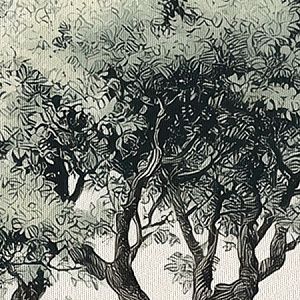 Винтажный лес