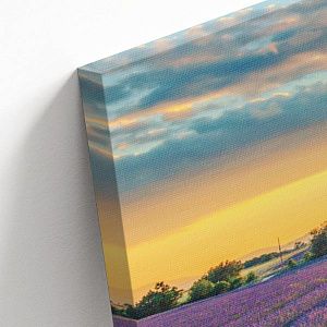 Лавандовые поля