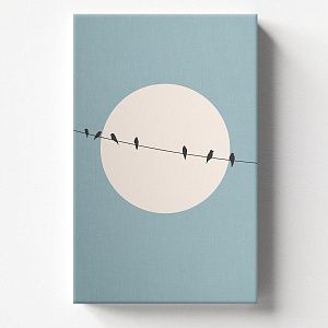 Птицы на проводе